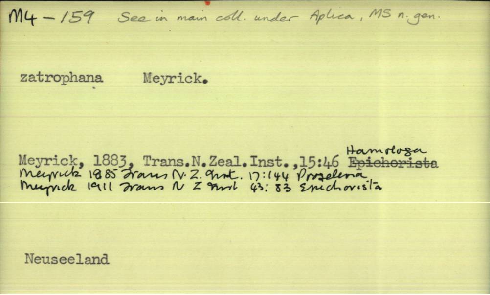 front of card